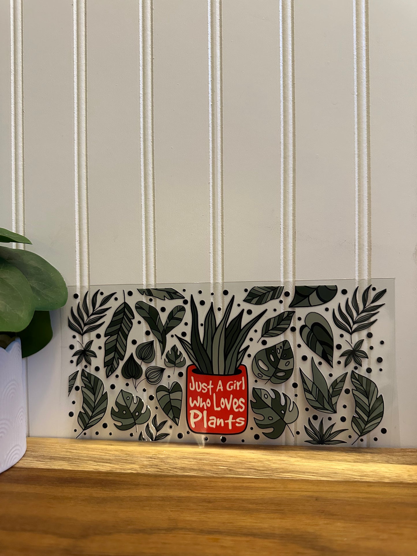 Just a girls who loves plants